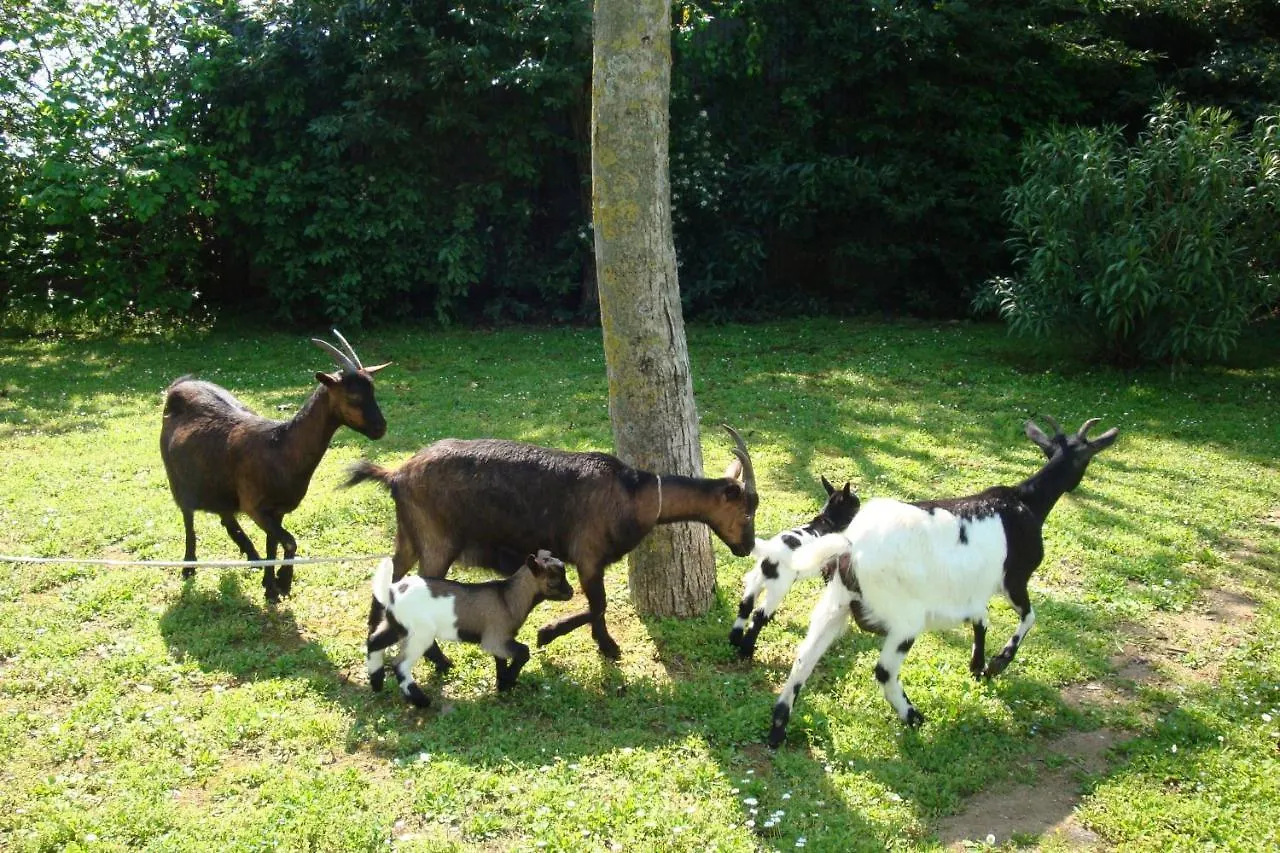 Agriturismo La Quercia Dei Tigli Villa Forli 0*,